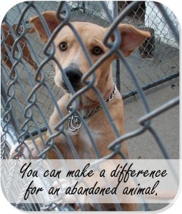 Make a Difference
